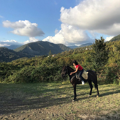 Конная прогулка для двоих в Сочи. Подарочные сертификаты Ultra Подарки. Купить оригинальный подарок или подарочный сертификат на Конная прогулка для двоих в Сочи. Сервис UltraPodarki.ru 8-800-505-9530. Катание на лошадях, Прогулка на лошади, Прогулка на лошадях для двоих, Конная прогулка для двоих, конный клуб, конная прогулка, конная прогулка в горы, конная прогулка в Сочи