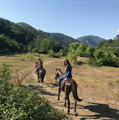 Конная прогулка для двоих в Сочи. Подарочные сертификаты Ultra Подарки. Купить оригинальный подарок или подарочный сертификат на Конная прогулка для двоих в Сочи. Сервис UltraPodarki.ru 8-800-505-9530. Катание на лошадях, Прогулка на лошади, Прогулка на лошадях для двоих, Конная прогулка для двоих, конный клуб, конная прогулка, конная прогулка в горы, конная прогулка в Сочи