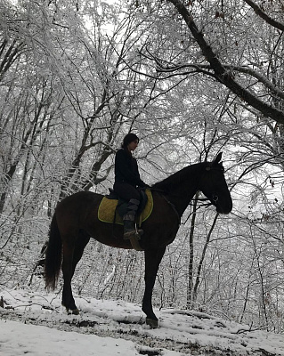 Конная прогулка для двоих в Сочи. Подарочные сертификаты Ultra Подарки. Купить оригинальный подарок или подарочный сертификат на Конная прогулка для двоих в Сочи. Сервис UltraPodarki.ru 8-800-505-9530. Катание на лошадях, Прогулка на лошади, Прогулка на лошадях для двоих, Конная прогулка для двоих, конный клуб, конная прогулка, конная прогулка в горы, конная прогулка в Сочи