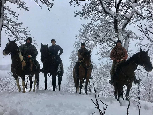 Конная прогулка в Сочи. Подарочные сертификаты Ultra Подарки. Купить оригинальный подарок или подарочный сертификат на Конная прогулка в Сочи. Сервис UltraPodarki.ru 8-800-505-9530. Катание на лошадях, Прогулка на лошади, Прогулка на лошадях для двоих, Конная прогулка, конный клуб, Конный клуб Дагомыс, конная прогулка в горы, конная прогулка, конная прогулка в Сочи