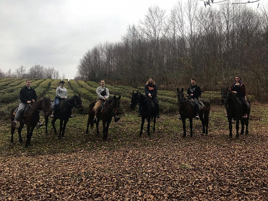 Конная прогулка в Сочи. Подарочные сертификаты Ultra Подарки. Купить оригинальный подарок или подарочный сертификат на Конная прогулка в Сочи. Сервис UltraPodarki.ru 8-800-505-9530. Катание на лошадях, Прогулка на лошади, Прогулка на лошадях для двоих, Конная прогулка, конный клуб, Конный клуб Дагомыс, конная прогулка в горы, конная прогулка, конная прогулка в Сочи