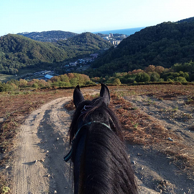 Конная прогулка для двоих в Сочи. Подарочные сертификаты Ultra Подарки. Купить оригинальный подарок или подарочный сертификат на Конная прогулка для двоих в Сочи. Сервис UltraPodarki.ru 8-800-505-9530. Катание на лошадях, Прогулка на лошади, Прогулка на лошадях для двоих, Конная прогулка для двоих, конный клуб, конная прогулка, конная прогулка в горы, конная прогулка в Сочи