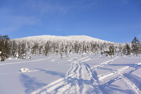 Катание на снегоходах в Сочи в подарок. Сервис Ultra Подарки
. Подарочный сертификат на катание на снегоходах в Сочи с друзьями. Закажите прокат снегоходов в подарок для мужчины по привлекательным ценам. Живописные маршруты для езды на снегоходах это отличная возможность активного отдыха. Сервис UltraPodarki.ru 8 800 505 95 30. катание на снегоходах, подарочный сертификат на катание на снегоходе, прокат снегоходов, прокат снегоходов Сочи, катание на снегоходах Сочи, езда на снегоходе