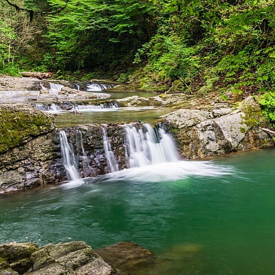 Конная прогулка для двоих в Сочи. Подарочные сертификаты Ultra Подарки. Купить оригинальный подарок или подарочный сертификат на Конная прогулка для двоих в Сочи. Сервис UltraPodarki.ru 8-800-505-9530. Катание на лошадях, Прогулка на лошади, Прогулка на лошадях для двоих, Конная прогулка для двоих, конный клуб, конная прогулка, конная прогулка в горы, конная прогулка в Сочи