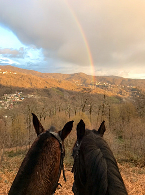 Конная прогулка в Сочи. Подарочные сертификаты Ultra Подарки. Купить оригинальный подарок или подарочный сертификат на Конная прогулка в Сочи. Сервис UltraPodarki.ru 8-800-505-9530. Катание на лошадях, Прогулка на лошади, Прогулка на лошадях для двоих, Конная прогулка, конный клуб, Конный клуб Дагомыс, конная прогулка в горы, конная прогулка, конная прогулка в Сочи