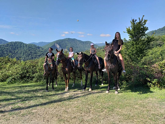 Конная прогулка в Сочи. Подарочные сертификаты Ultra Подарки. Купить оригинальный подарок или подарочный сертификат на Конная прогулка в Сочи. Сервис UltraPodarki.ru 8-800-505-9530. Катание на лошадях, Прогулка на лошади, Прогулка на лошадях для двоих, Конная прогулка, конный клуб, Конный клуб Дагомыс, конная прогулка в горы, конная прогулка, конная прогулка в Сочи