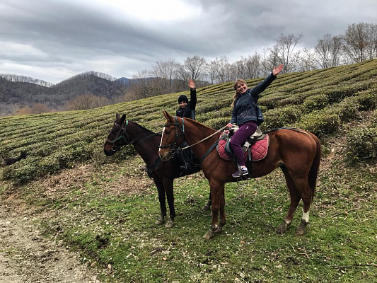 Конная прогулка для двоих в Сочи. Подарочные сертификаты Ultra Подарки. Купить оригинальный подарок или подарочный сертификат на Конная прогулка для двоих в Сочи. Сервис UltraPodarki.ru 8-800-505-9530. Катание на лошадях, Прогулка на лошади, Прогулка на лошадях для двоих, Конная прогулка для двоих, конный клуб, конная прогулка, конная прогулка в горы, конная прогулка в Сочи