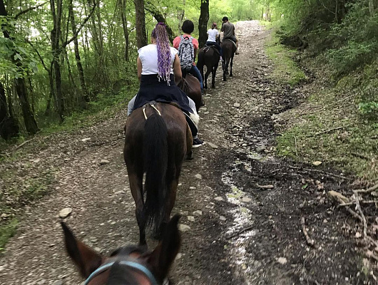 Конная прогулка в Сочи. Подарочные сертификаты Ultra Подарки. Купить оригинальный подарок или подарочный сертификат на Конная прогулка в Сочи. Сервис UltraPodarki.ru 8-800-505-9530. Катание на лошадях, Прогулка на лошади, Прогулка на лошадях для двоих, Конная прогулка, конный клуб, Конный клуб Дагомыс, конная прогулка в горы, конная прогулка, конная прогулка в Сочи
