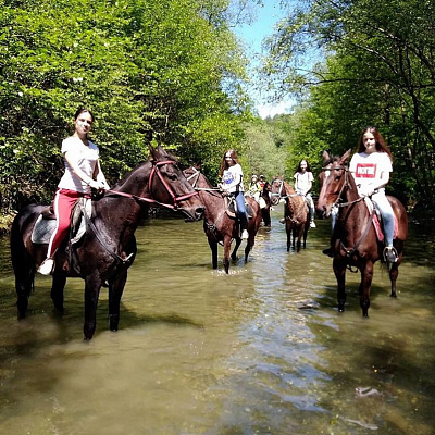 Конная прогулка в Сочи. Подарочные сертификаты Ultra Подарки. Купить оригинальный подарок или подарочный сертификат на Конная прогулка в Сочи. Сервис UltraPodarki.ru 8-800-505-9530. Катание на лошадях, Прогулка на лошади, Прогулка на лошадях для двоих, Конная прогулка, конный клуб, Конный клуб Дагомыс, конная прогулка в горы, конная прогулка, конная прогулка в Сочи